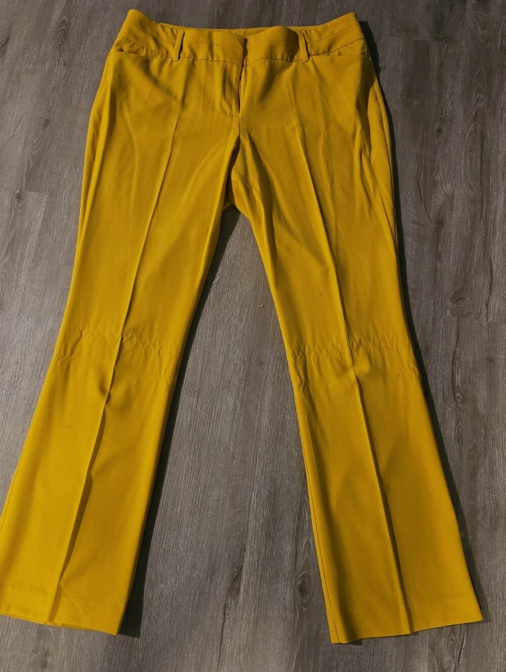 New York & Company Mustard Yellow Boot Cut Dress Pants